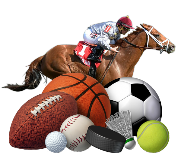 Administrador del Sistema